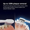 3 in 1 Toothbrush and Water Flosser Combo